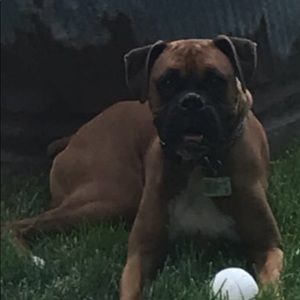 Meet your Posher, Lori